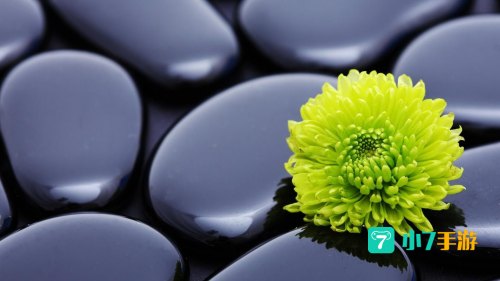 高清下载