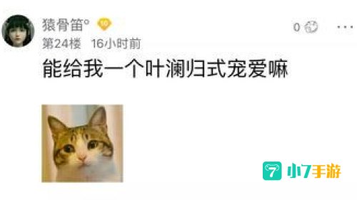 叶澜归